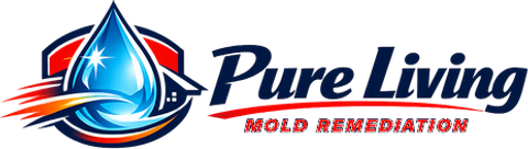 Pure Living Mold Remediation